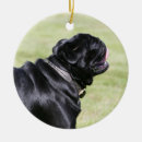 Search for black pug ornaments Mops