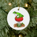 Search for funny frog ornaments Toad