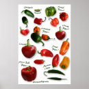 Recherche de variété art Doux