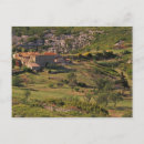 Search for forestry Countryside