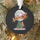 Search for cheetah ornaments Matching
