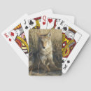 Search for predator playing cards Nature photography