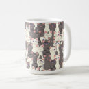 Recherche de chatons gris tasses Animaux