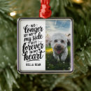 Search for quotes pet memorials Sympathy