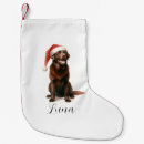 Recherche de labrador de noël chaussette de noël Aquarelle