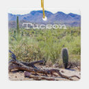 Recherche de tucson ornaments Saguaro