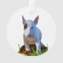 Recherche de bull terrier ornaments Noël