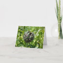 Search for artichoke cards Green