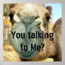 Recherche de camel posters Faune