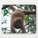 Recherche de animaux jungle tapis souris Animal