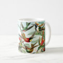Search for vintage hummingbird mugs Trochilidae