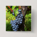 Search for bunch of grape buttons French