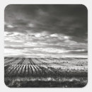 Search for corn field stickers Farming