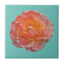 Recherche de pivoines carreaux Fleur