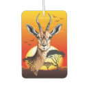 Recherche de zoo voiture accessoires Afrique