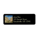 Search for climbing return address labels Nature