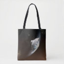 Search for capsules bags Robotic spacecraft