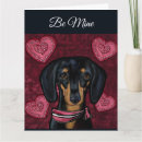 Search for dachshund valentines day cards I love you