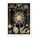 Search for ernst art Illustration
