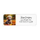 Search for apricot return address labels Puppy