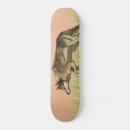 Recherche de nature skateboards Loup