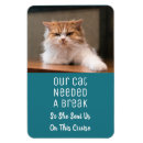 Search for funny cat magnets Kitten