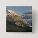 Search for peak buttons Canada
