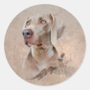 Search for weimaraner stickers Breed