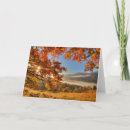 Search for fall scene cards Woods