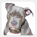 Search for bull dog stickers Cute