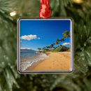Search for maui ornaments Pacific ocean