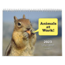 Search for work animal Funny