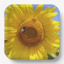 Search for sunflower plates Cheerful