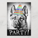 Recherche de bergers allemands invitations Chiens