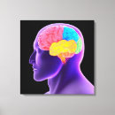 Recherche de anatomie cerveau posters toiles Neurosciences