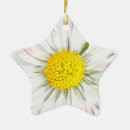 Search for daisy flower ornaments Nature