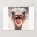 Search for emu postcards Funny