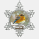 Search for bluebird ornaments Snow