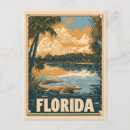 Search for vintage alligator postcards Everglades