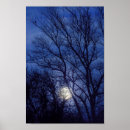 Recherche de arbre nu posters Hiver