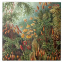 Search for vintage tiles Green