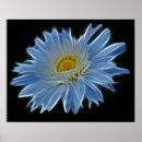 Search for hippie flowers posters Daisies