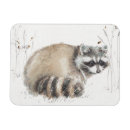 Recherche de raton laveur magnets Boisé