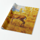Search for aspen wrapping paper Forest