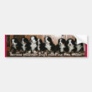 Recherche de chenille voiture autocollants Chien