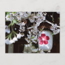 Recherche de kyoto cartes postales Fleur de cerisier