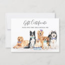 Recherche de dresseur cartes postales Marcheur de chiens