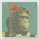 Search for chimp monkey coasters Cute