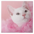 Search for feather tiles Feline