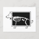 Search for animal skeleton postcards Pet